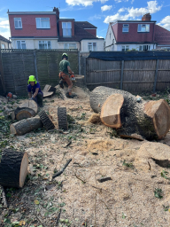 Tree Surgeon London 14 Small