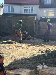 Tree Surgeon London 15 Small