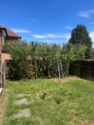 Tree Surgeon London 51 Small
