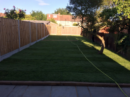 Turfing London 06 Small